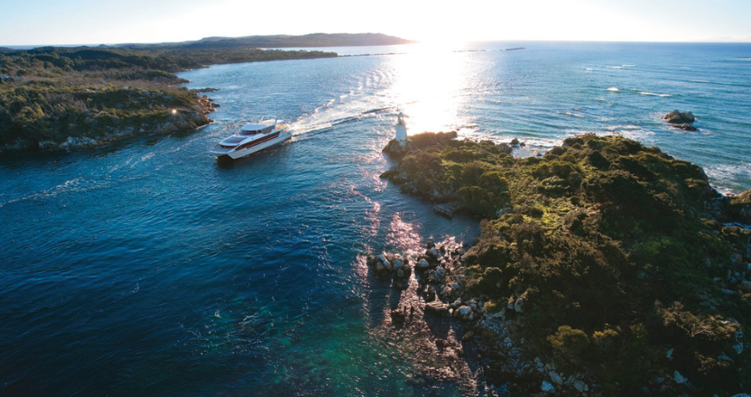 Gordon River Cruise