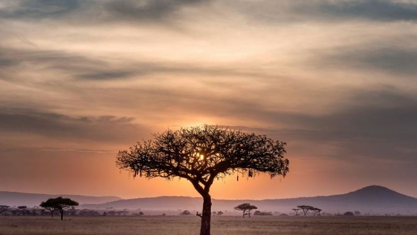 Kruger National Park, South Africa